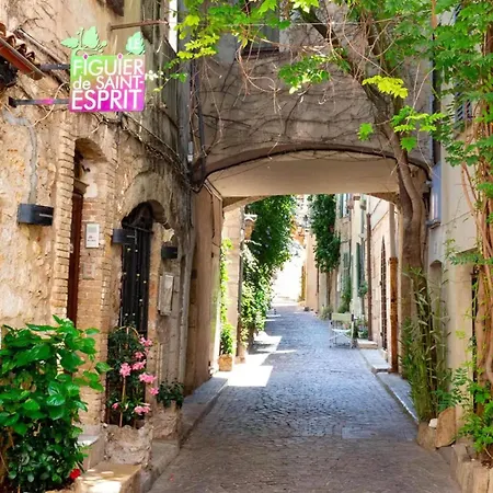 Holiday home La Cathedrale Azureenne - Dans Le Vieil