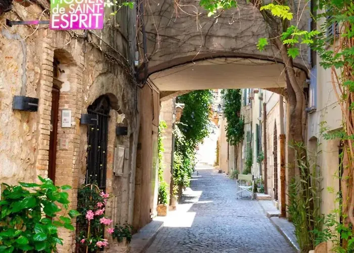 Hébergement de vacances La Cathédrale Azuréenne - Dans Le Vieil