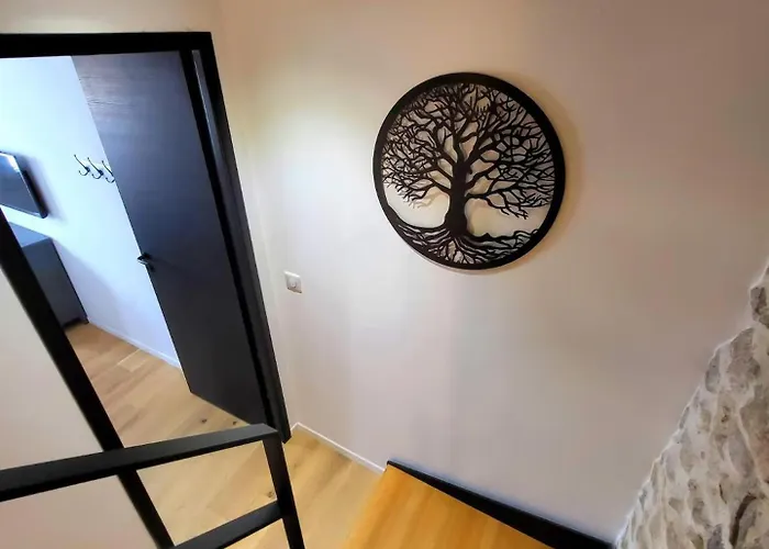 La Cathédrale Azuréenne - Dans Le Vieil Antibes